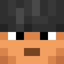 Survivalsavvy Minecraft head