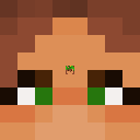 xL_Verzide Minecraft head