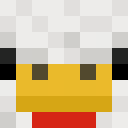 stickitz Minecraft head