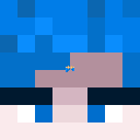 xkvit Minecraft head
