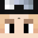 Paane Minecraft head