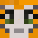 leconnor_ Minecraft head